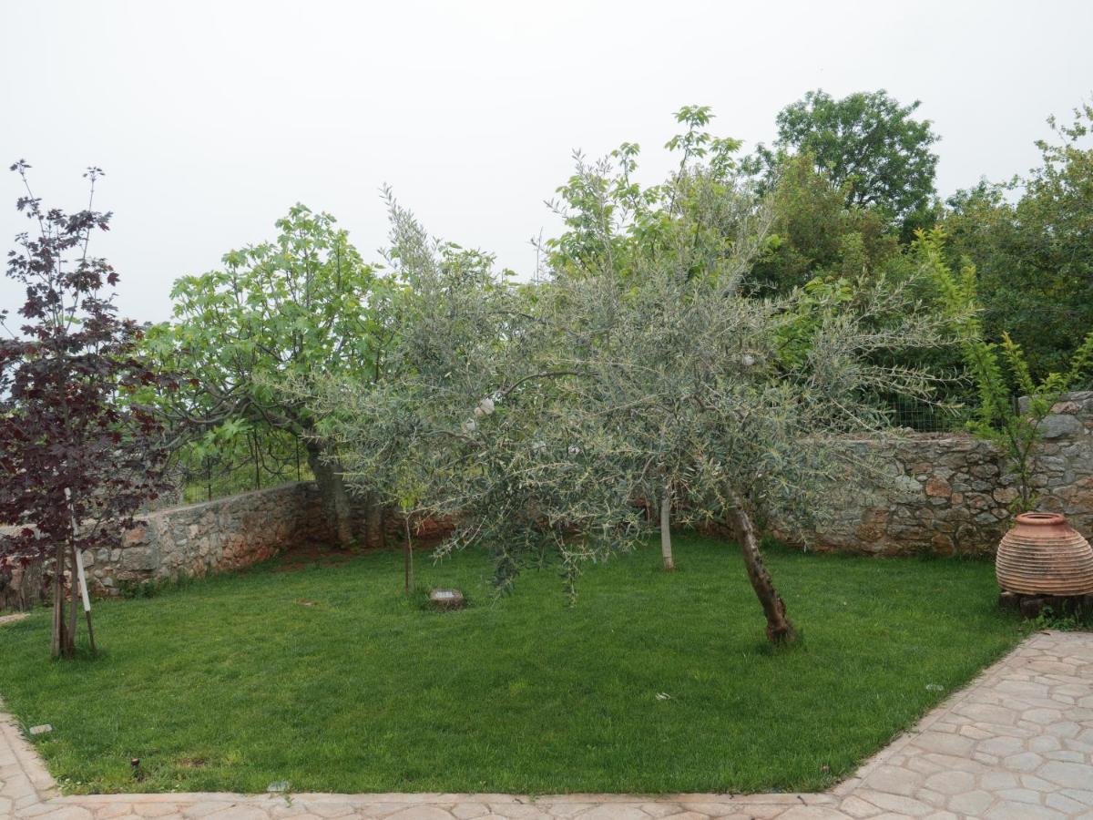 Vintage Stone-Built Country Cottage In Richea Kouloureika Exterior foto